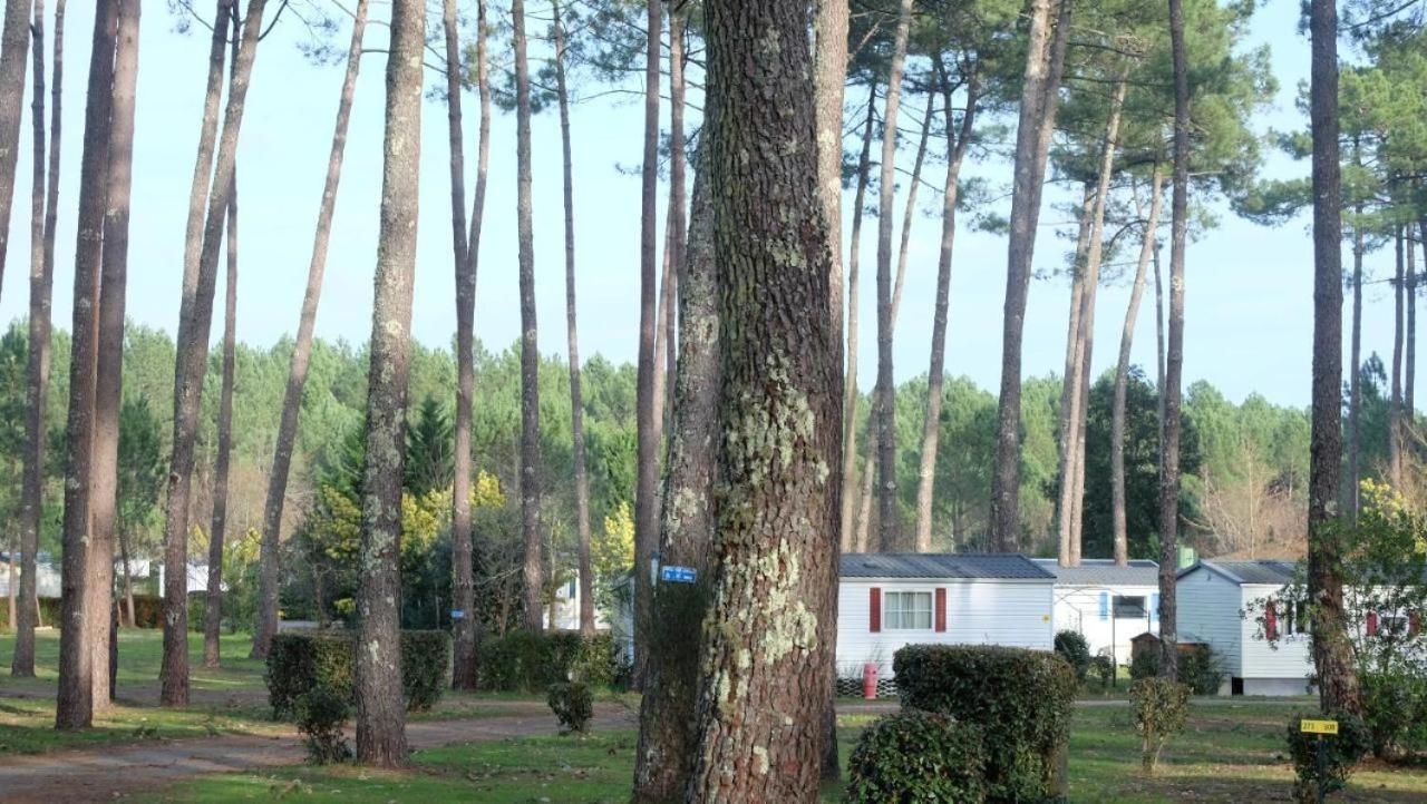 Mobil Home Rainbow, Camping Les Dunes De Contis Saint-Julien-en-Born Δωμάτιο φωτογραφία